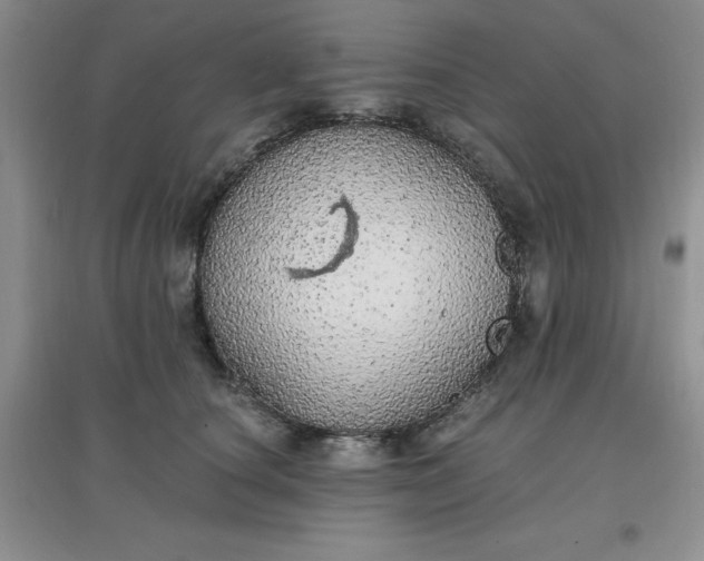X0000097670660200803142155