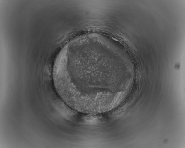 X0000097670661200803142155