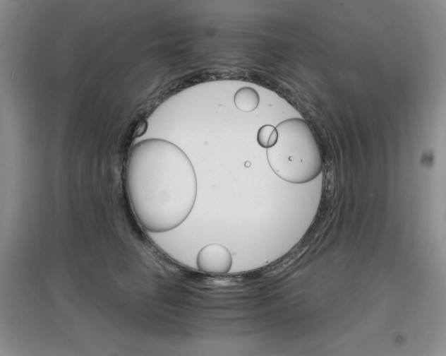 X0000097670662200803142155