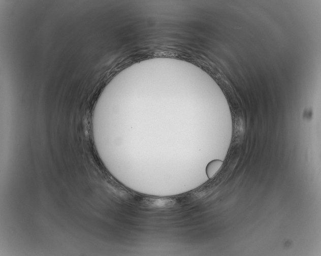 X0000097670663200803142155