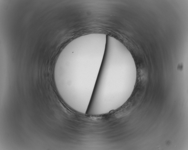 X0000097670664200803142156