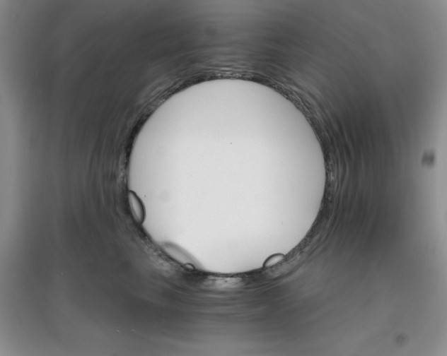 X0000097670665200803142156