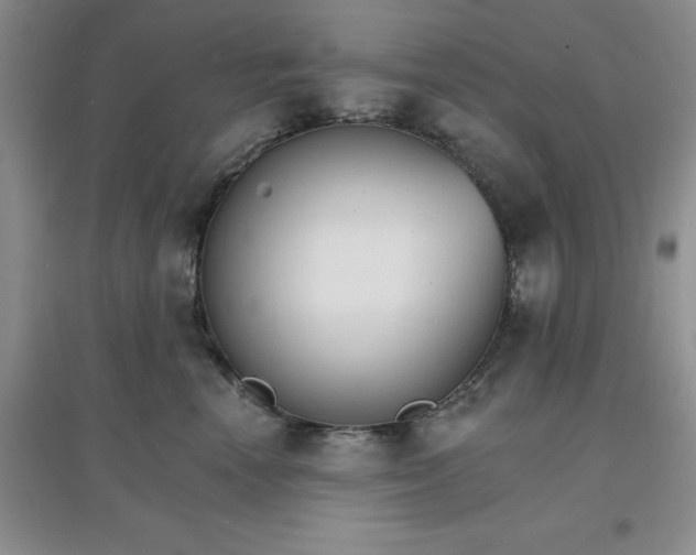 X0000097670666200803142156