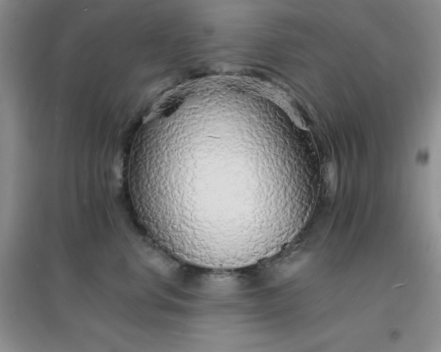 X0000097670668200803142156