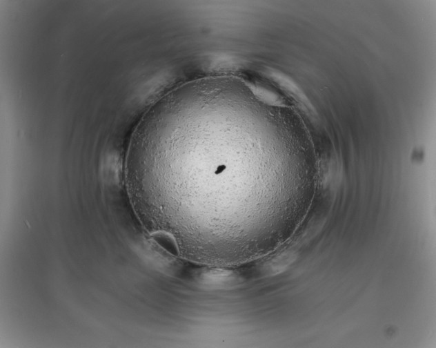X0000097670669200803142156