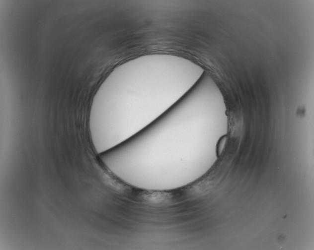 X0000097670670200803142156