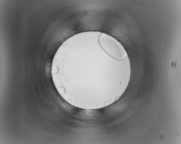 X0000097670672200803142156