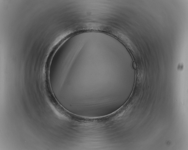 X0000097670674200803142155