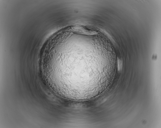 X0000097670675200803142155