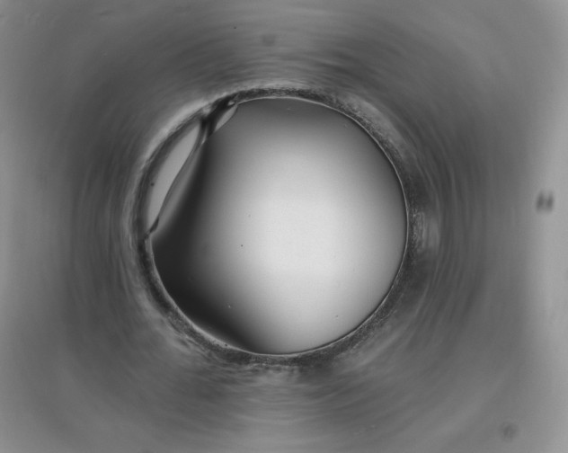 X0000097670676200803142155