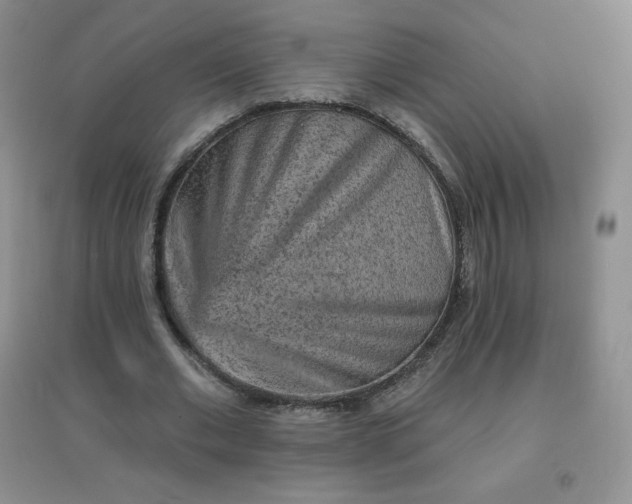 X0000097670677200803142155