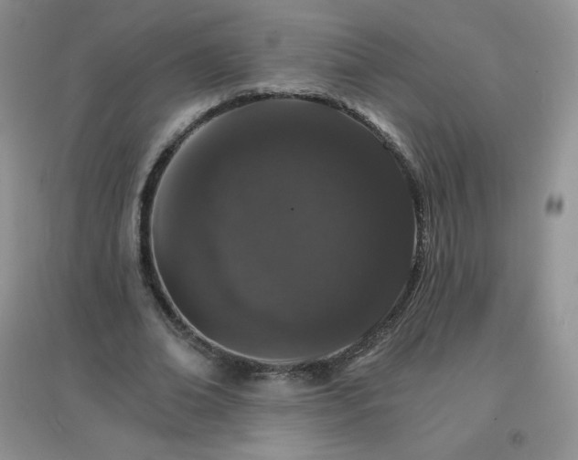 X0000097670678200803142155