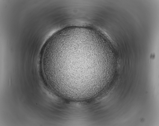 X0000097670679200803142155