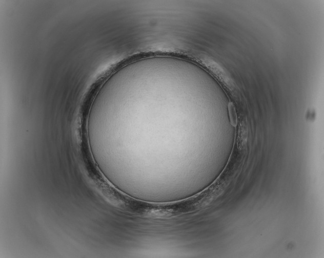 X0000097670680200803142155