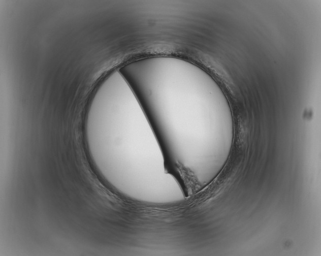 X0000097670681200803142155