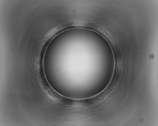 X0000097670682200803142155