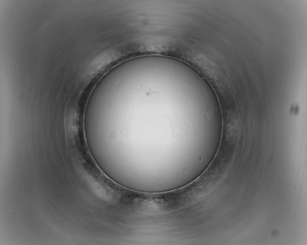X0000097670683200803142155