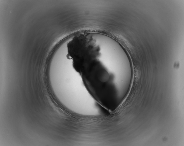 X0000097670684200803142155