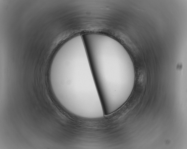 X0000097670685200803142155