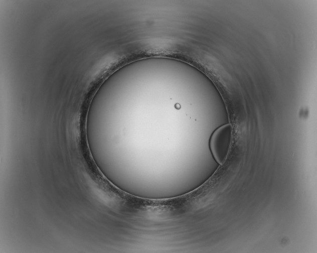X0000097670686200803142155