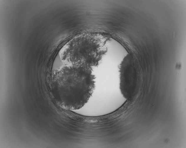 X0000097670687200803142155