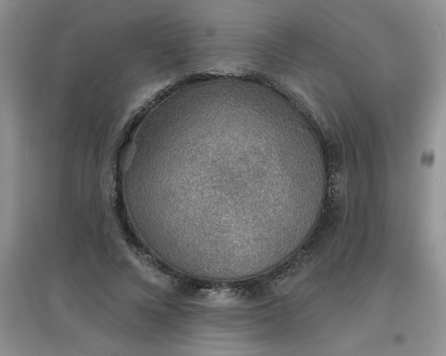 X0000097670688200803142155
