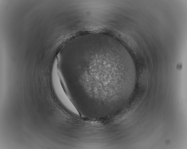 X0000097670689200803142155