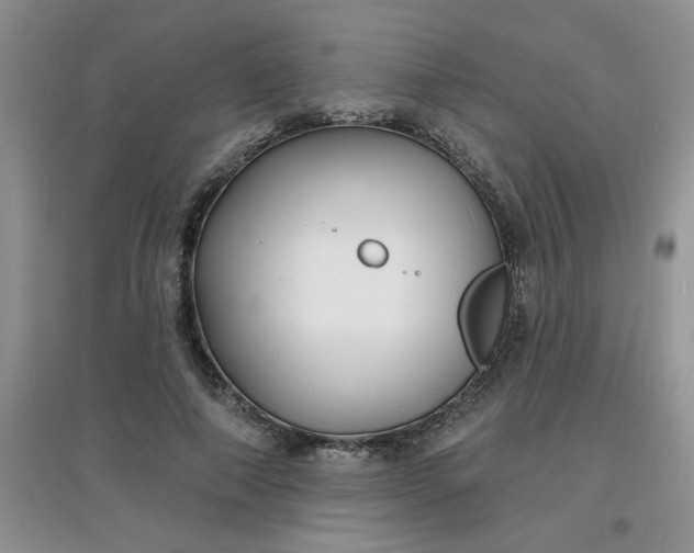 X0000097670690200803142155