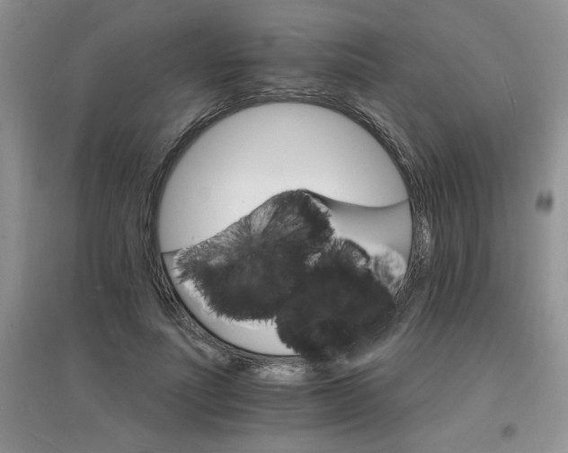 X0000097670691200803142155