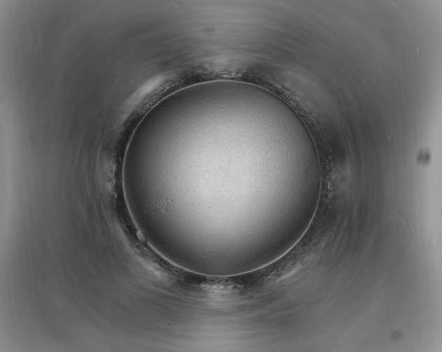 X0000097670693200803142155