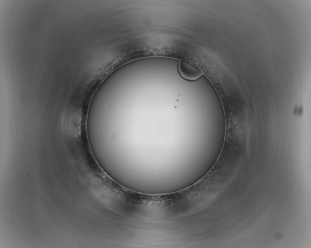 X0000097670694200803142155
