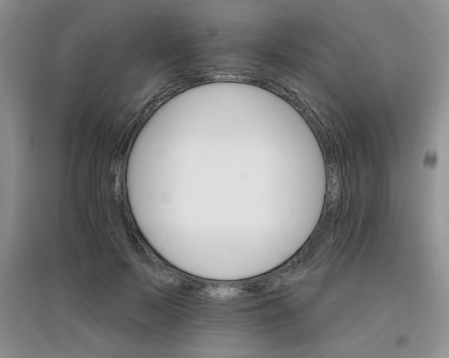 X0000097670695200803142155