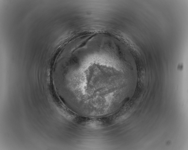 X0000097670696200803142155