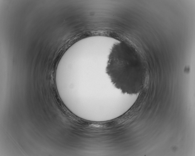 X0000097670699200803142155