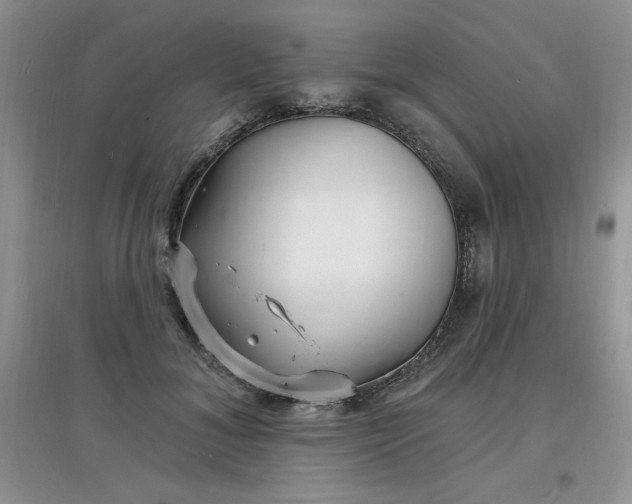 X0000097670700200803142155