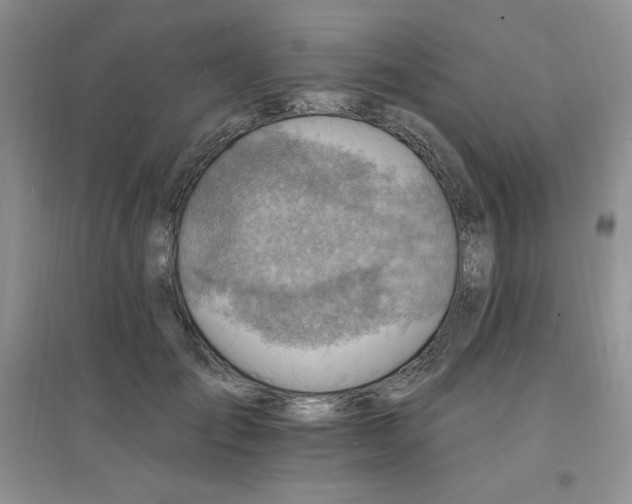 X0000097670701200803142155