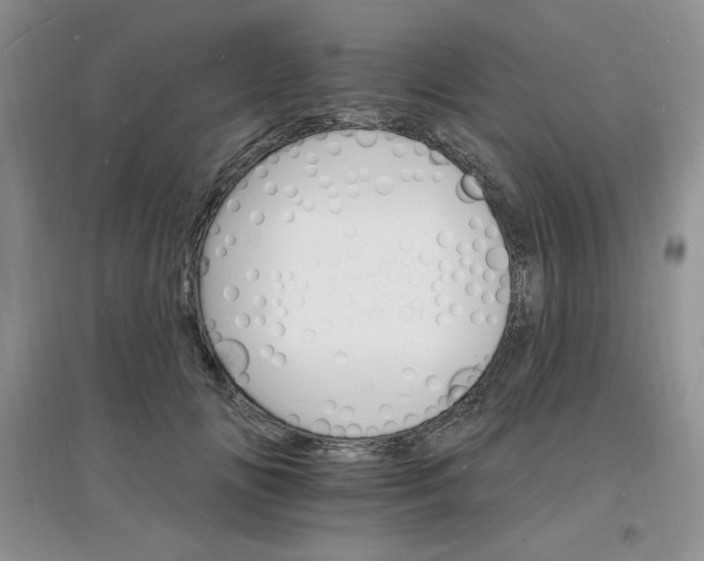 X0000097670702200803142155