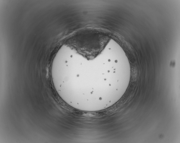 X0000097670703200803142155