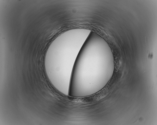 X0000097670704200803142155