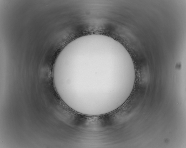 X0000097670705200803142155