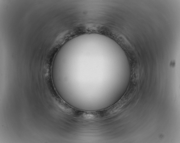 X0000097670706200803142155
