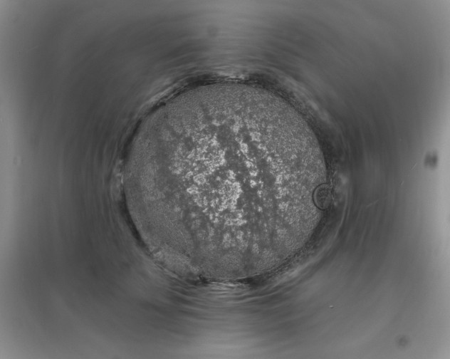 X0000097670707200803142154