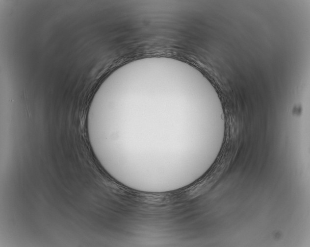 X0000097670709200803142154