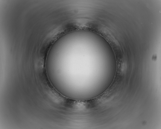 X0000097670710200803142154
