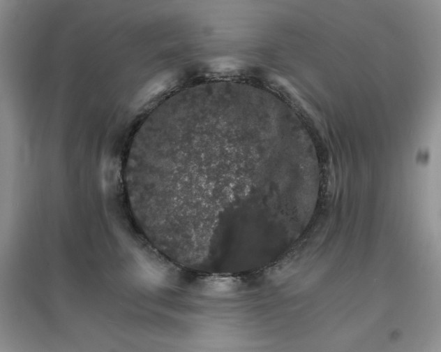 X0000097670711200803142154
