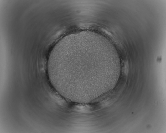 X0000097670712200803142154