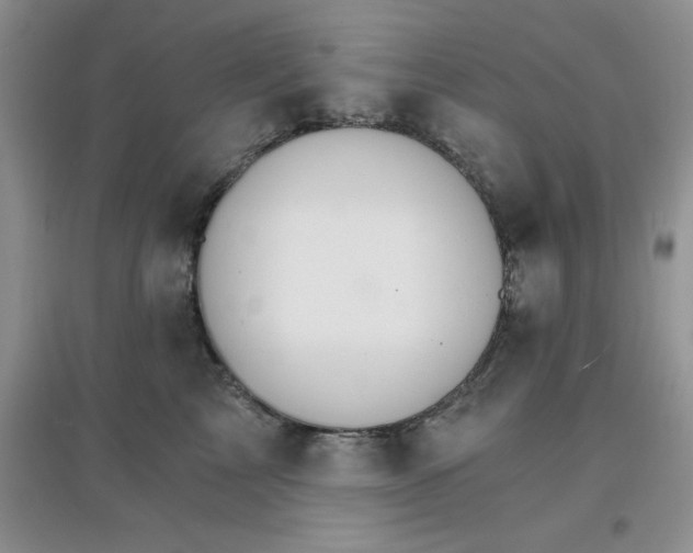 X0000097670713200803142154