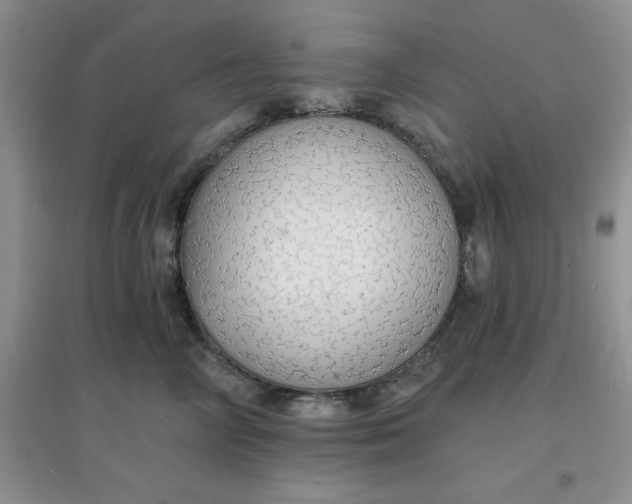 X0000097670714200803142154