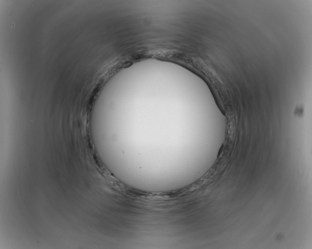 X0000097670716200803142154