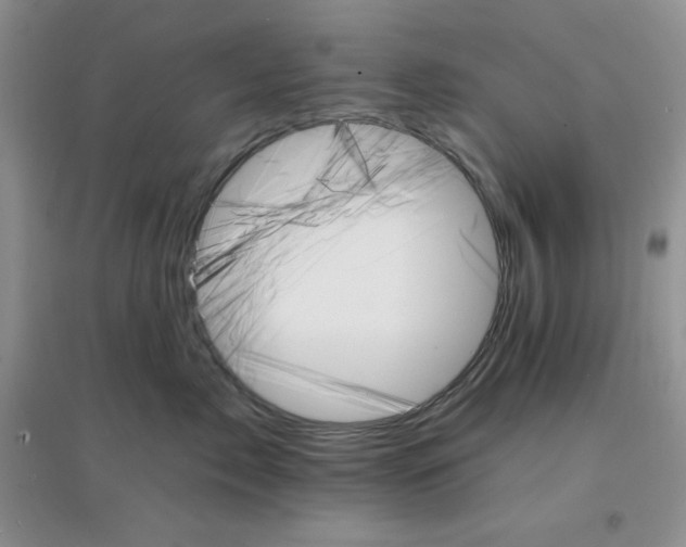 X0000097670717200803142154